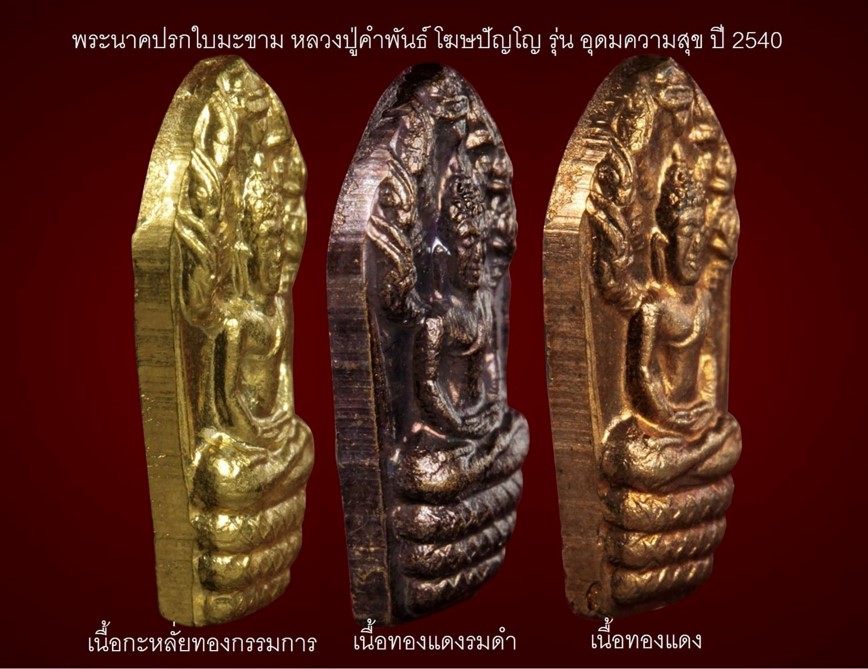 พระปรกใบมะขาม อุดมความสุข หลวงปู่คำพันธ์