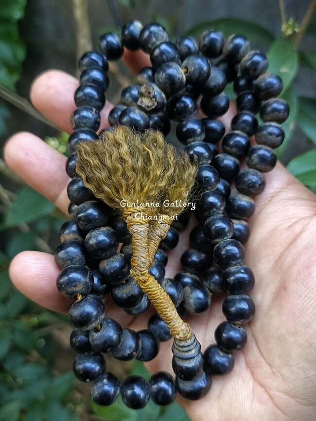 ประคำสมุกรักเก่า (แกนทองแดง)