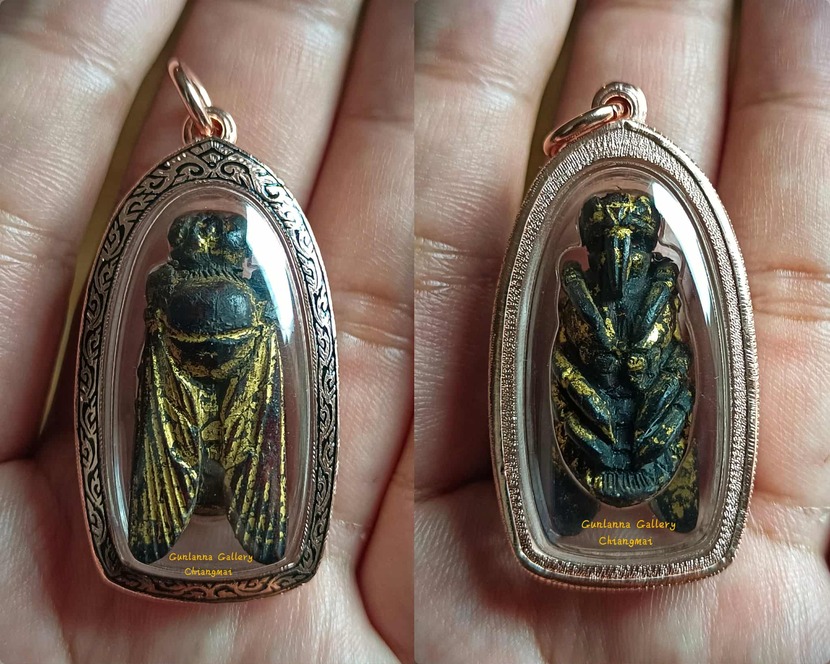 แมลงภู่คำไทใหญ่(ตัวเมีย)ไม้ดุมล้อ