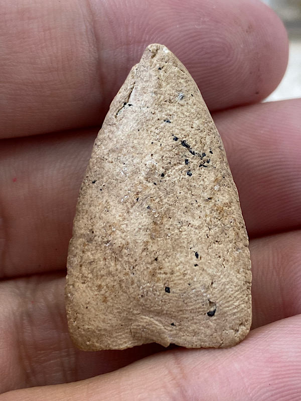 หลวงปู่ทวดพิมพ์ใหญ่ วัดประสาทฯปี06