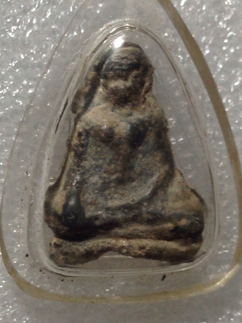 เนื้อชิน(นาง