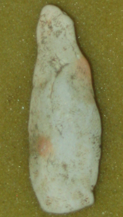 ไม่รู้ที่ไหนค่ะ