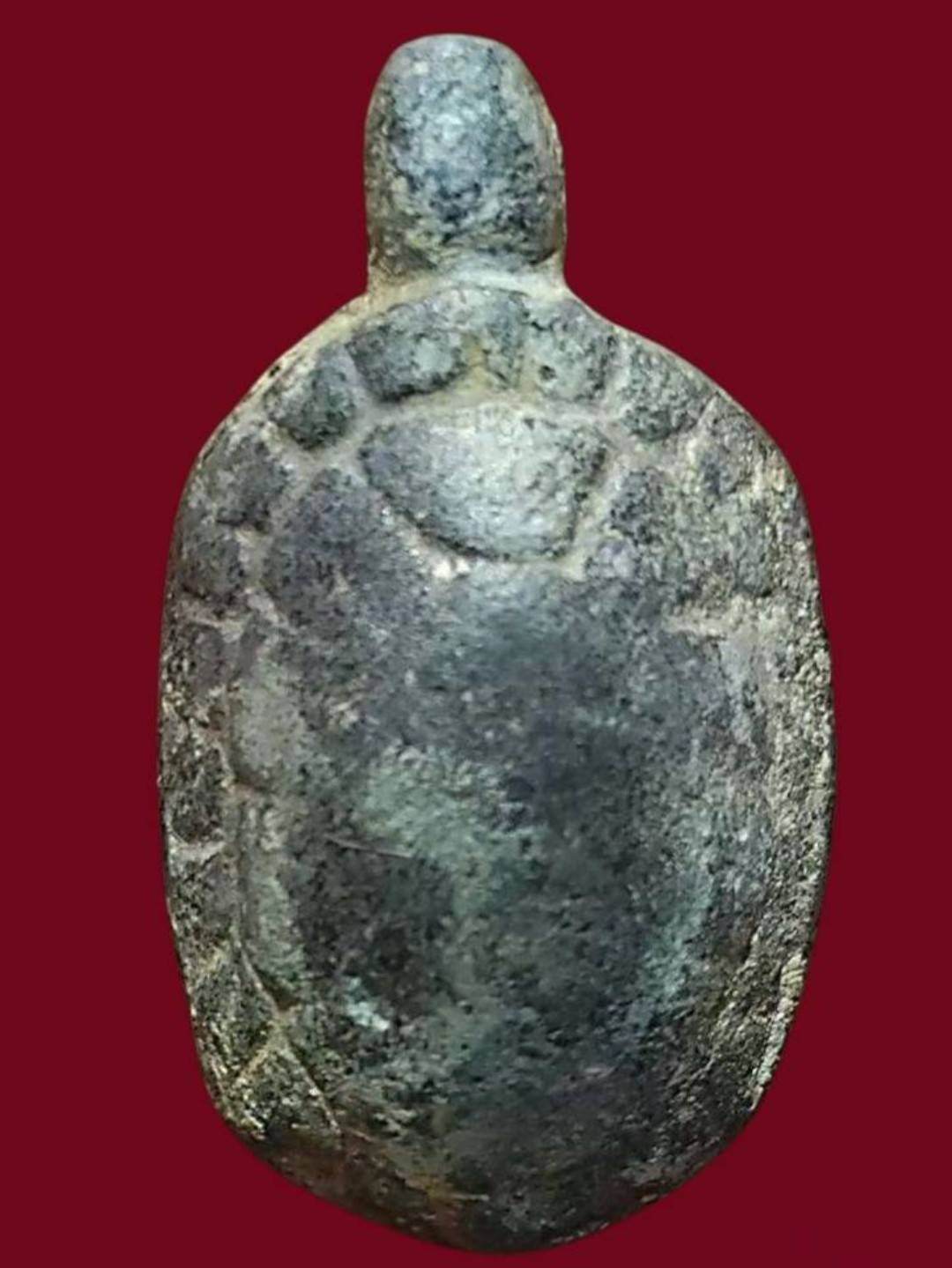 พญาเต่าเรือน ลป.ศุข  เนื้อชิน