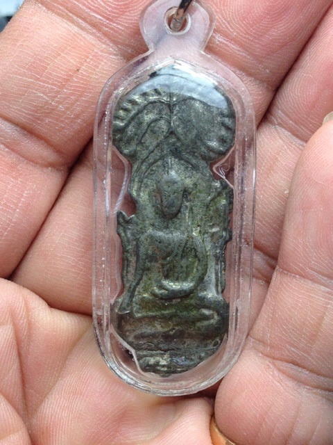 เนื้อชินปรกโพธิ์