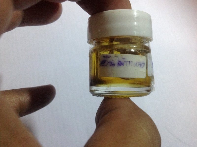  1 ใน 99 น้ำมันมนตรามหาเสน่ห์ พญาเทครัว( อิ้นแกะจากรากไม้กาหลงตายพราย ) หลวงพ่อกอย วัดเขาดินใต้ จ.บุ