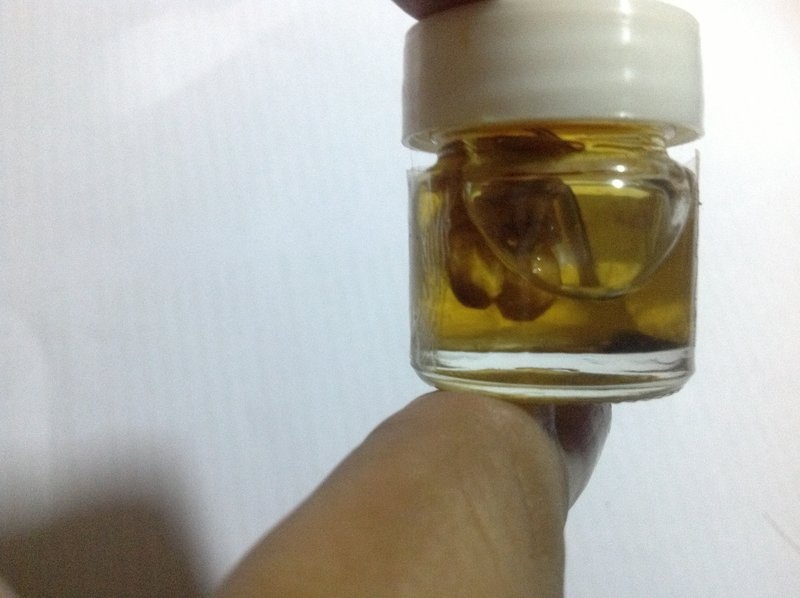  1 ใน 99 น้ำมันมนตรามหาเสน่ห์ พญาเทครัว( อิ้นแกะจากรากไม้กาหลงตายพราย ) หลวงพ่อกอย วัดเขาดินใต้ จ.บุ