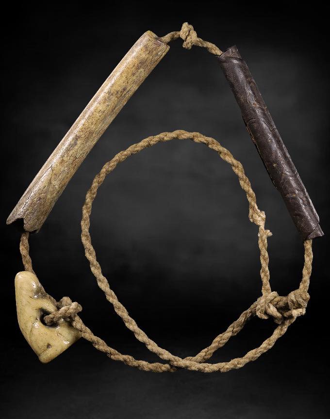 เสือหลวงพ่อเรือนวัดคลองด่าน