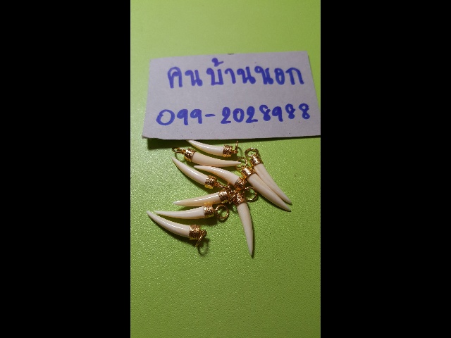 ปลายงา