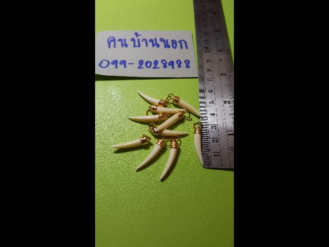 ปลายงา