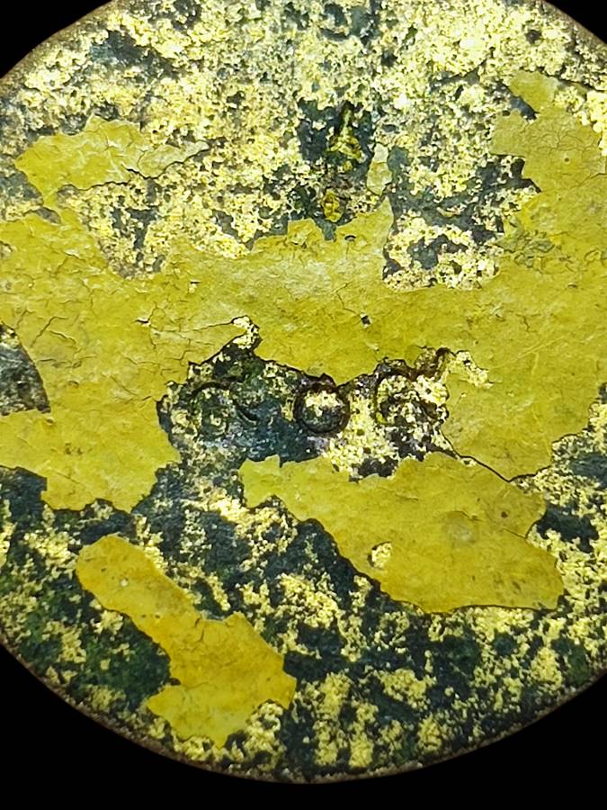 เหรียญโชคดี วพก.เลข959