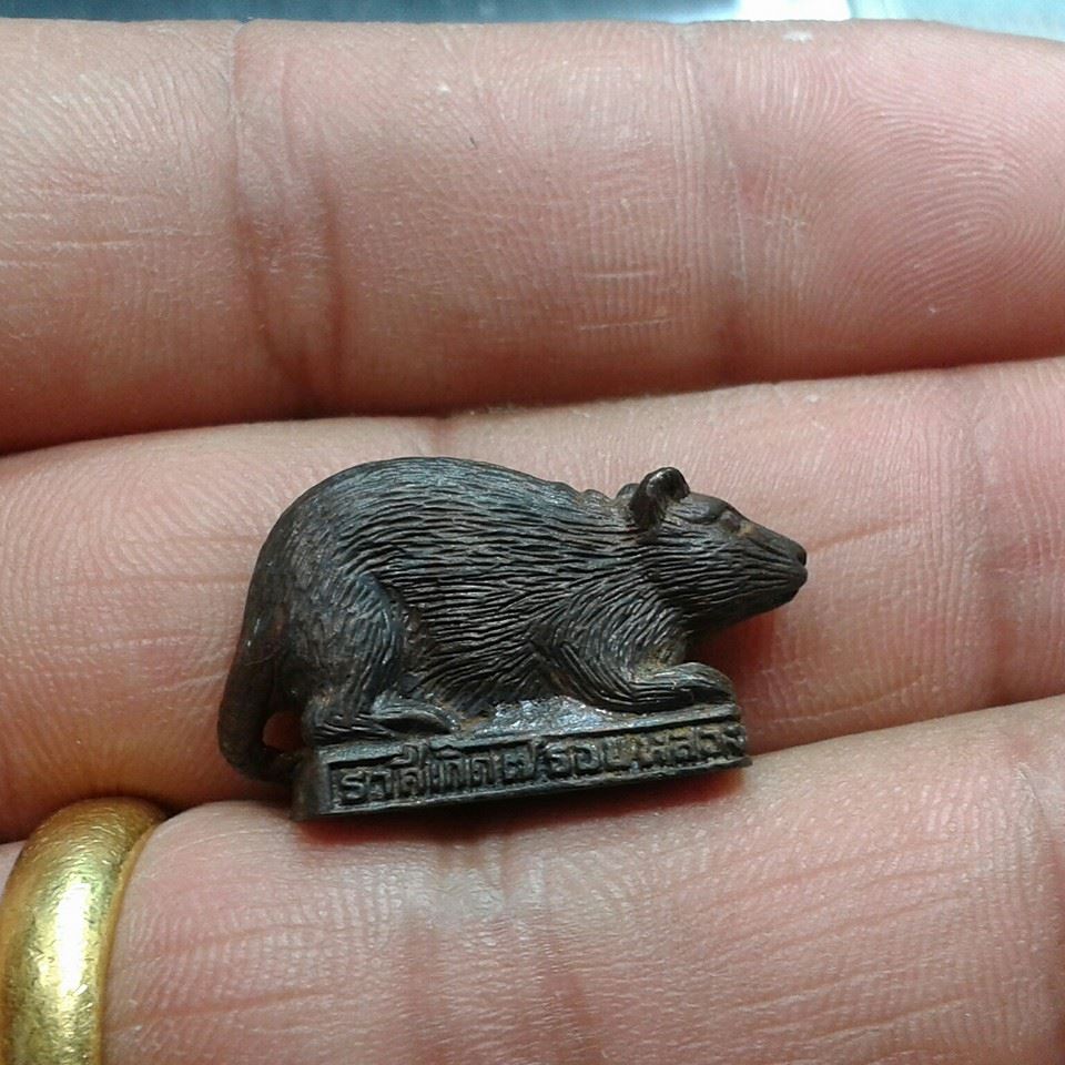 หนูนวะสวยกล่องเดิม