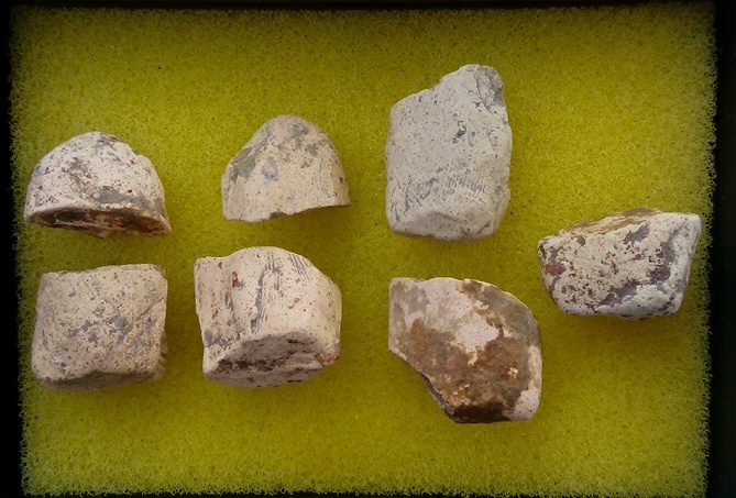 พระคงองค์ครู ล่ำบึ๊ก