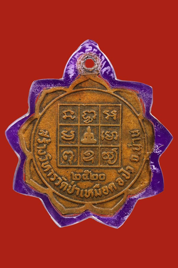 เหรียญหลวงพ่อวัดดอนตัน ปี ๒๕๒๐ ป่าเหมือด