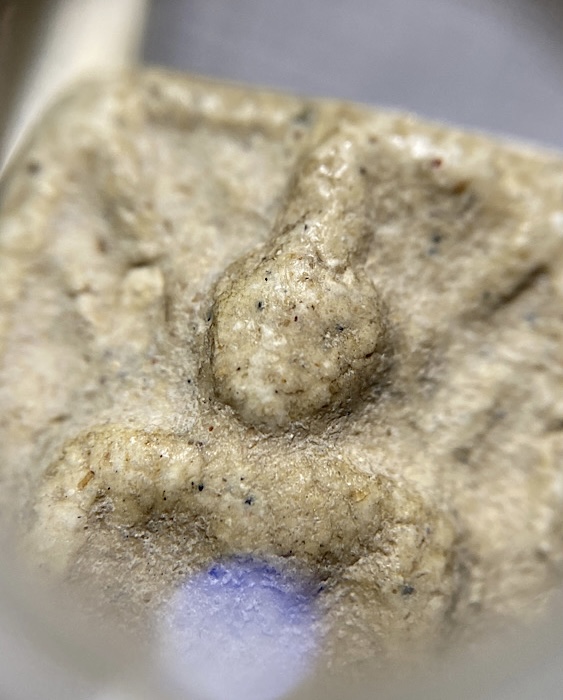 พระหลวงปู่เผือก ขุดสระเล็ก ปี2460