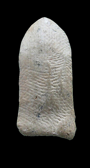 พระสิงห์เคาะเดียว 2