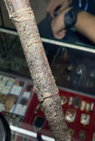 ไม้ครูลงรักถักเชือก