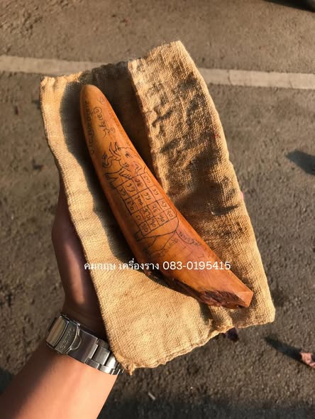 ปลายงากำจัดจารอักขระล้านนาเก่าร้อยปี