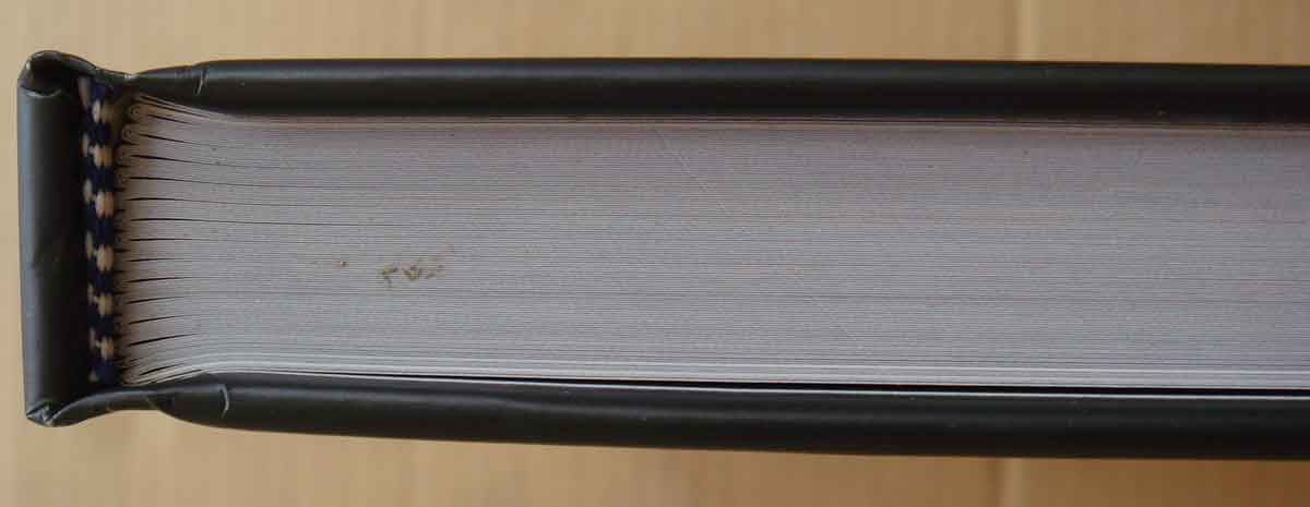 หนังสือ รวมภาพพระชนะเลิศงานกองข้าวศรีราชา ปี 2546