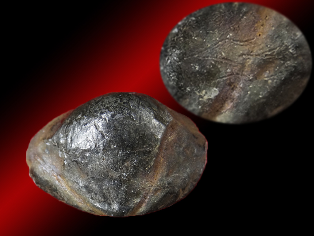 เบี้ยแก้เปลือยหลวงปู่บุญ