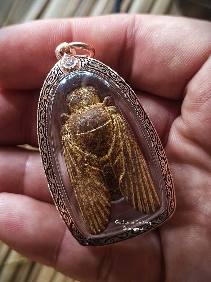 แมลงภู่คำไทยใหญ่(ตัวเมีย)ไม้ดุมล้อ