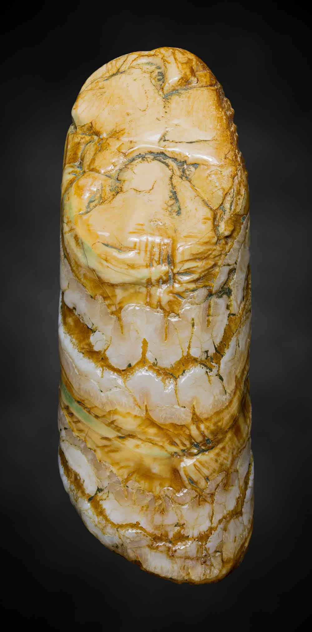 ของมงคลแปลก