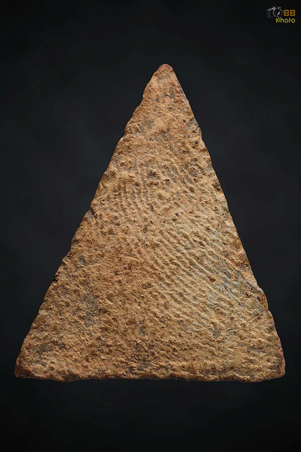  พระนางพญา กรุโรงทอ มีหู นิยม