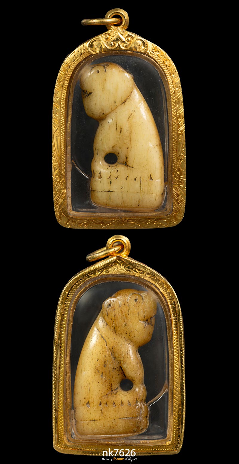 เสือหลวงพ่อสาย กระดูกเสือแกะ วัดมงคลโคธาวาส(บางเหี้ย) จ.สมุทรปราการ ปี 2470