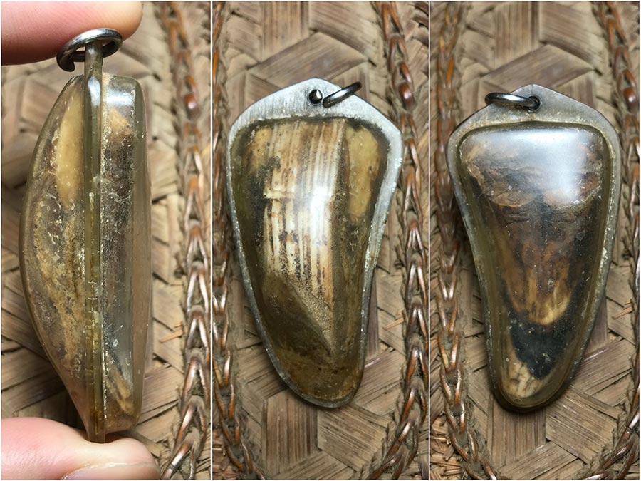 เขี้ยวหมูตันกระเด็น