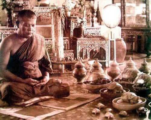 พญาเต่าเรือนหลวงพ่อสนิทวัดลำบัวลอย