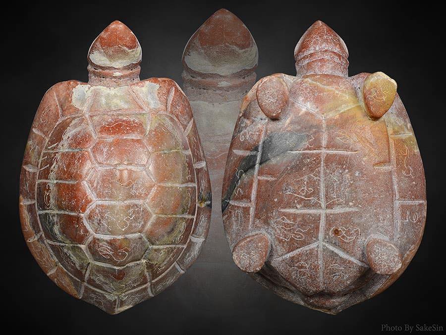 พญาเต่าเรือนหลวงพ่อสนิทวัดลำบัวลอย