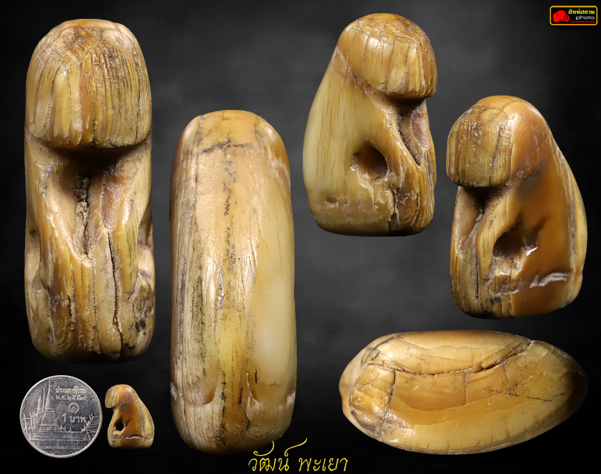 เสือหลวงพ่อปาน วัดคลองด่าน จ.สมุทรปราการ