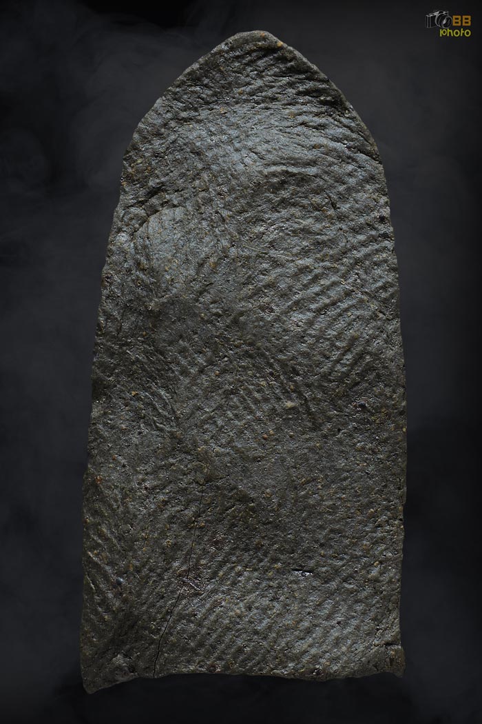 พระรอดวัดพระสิงห์ พิมพ์กลาง