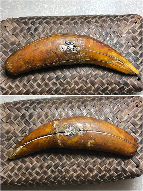 เขี้ยวเสือโคร่งเก่าโบราณยาว๔นิ้ว