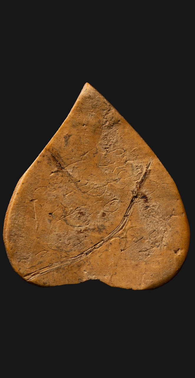 กะลาราหูเผือกสีทองแกะโบราณ