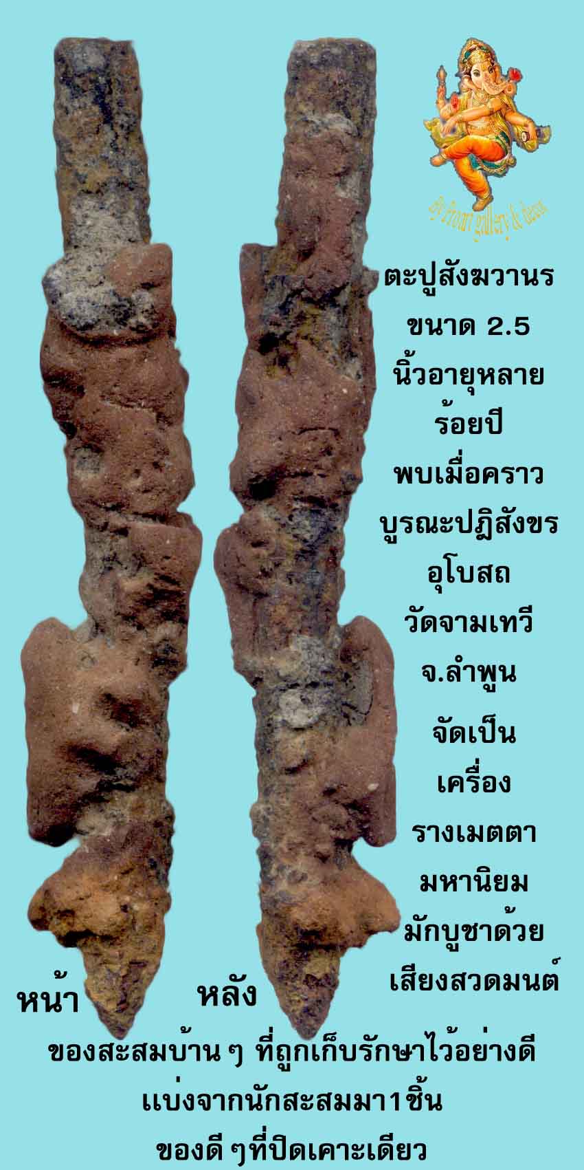 สังฆวานร อายุหลายร้อยปี