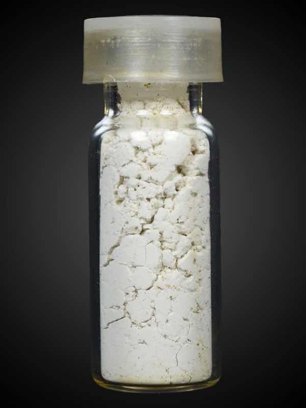 ว่านช้างผสมโขลง อาจารย์ชุม ไชยคีรี