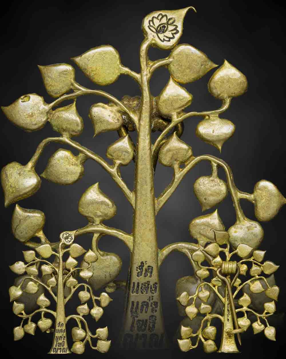 เครื่องแปลกหายาก