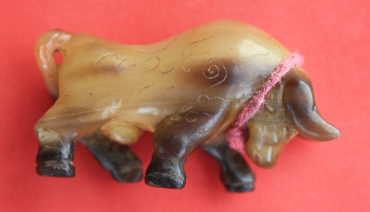 งัว.........กระทิง