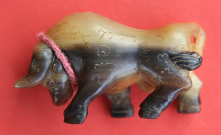 งัว.........กระทิง