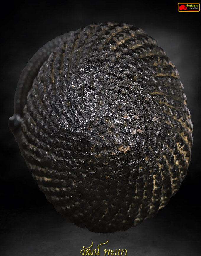 เบี้ยแก้หลวงปู่เจือ วัดกลางบางแก้ว