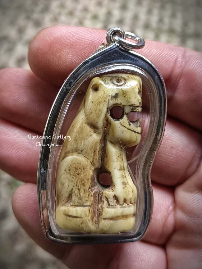 เสือมหาอำนาจครูบาหน้อย วัดบ้านปง2