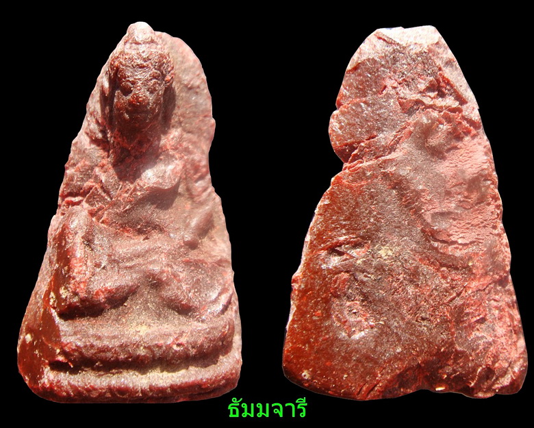 ว่านไก่แดง ครูบาดวงดี วัดบ้านฟ่อน เคาะเดียว 850