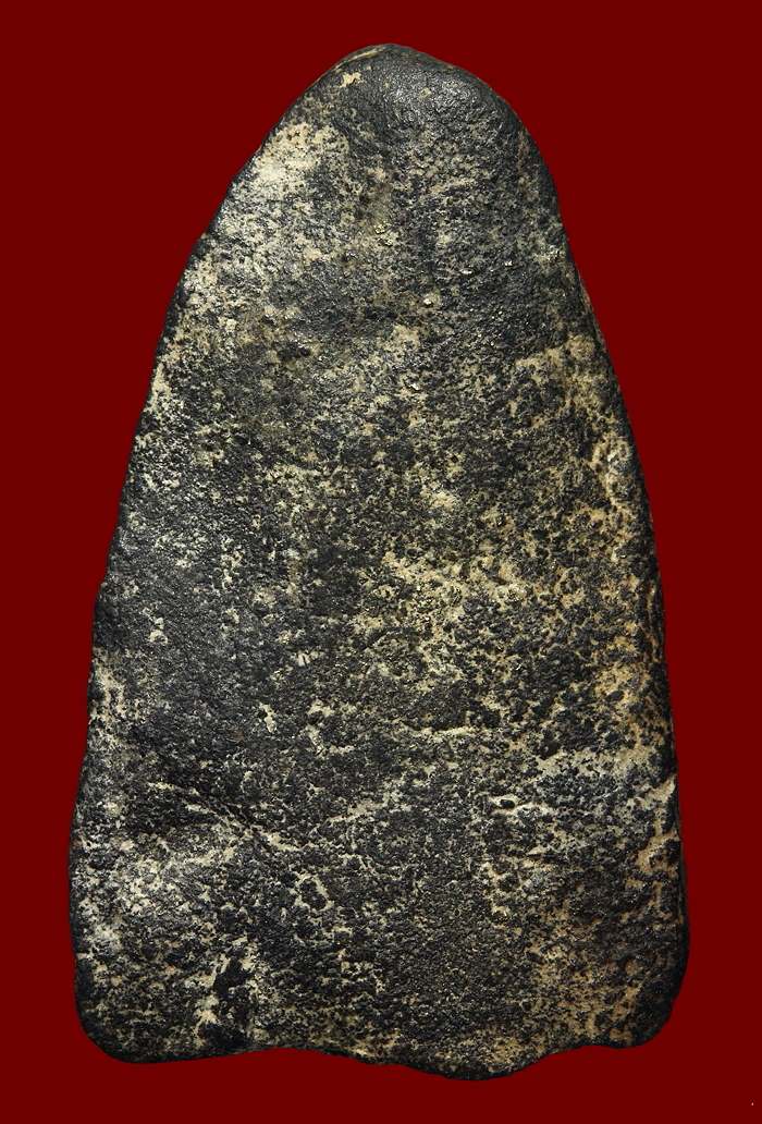 ปู่ทวดเนื้อว่าน