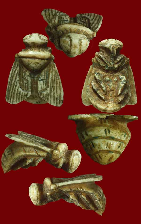 แมลงภู่คำ