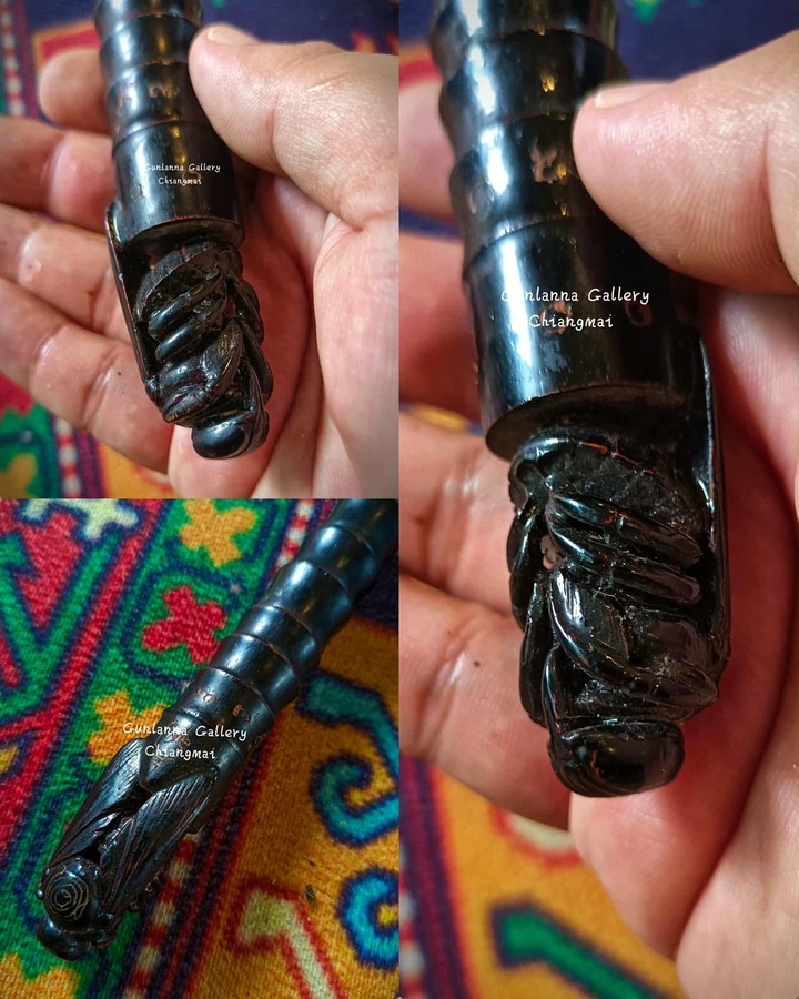 ไม้เท้า/ไม้ครูแมลงภู่คำวิเศษไทใหญ่