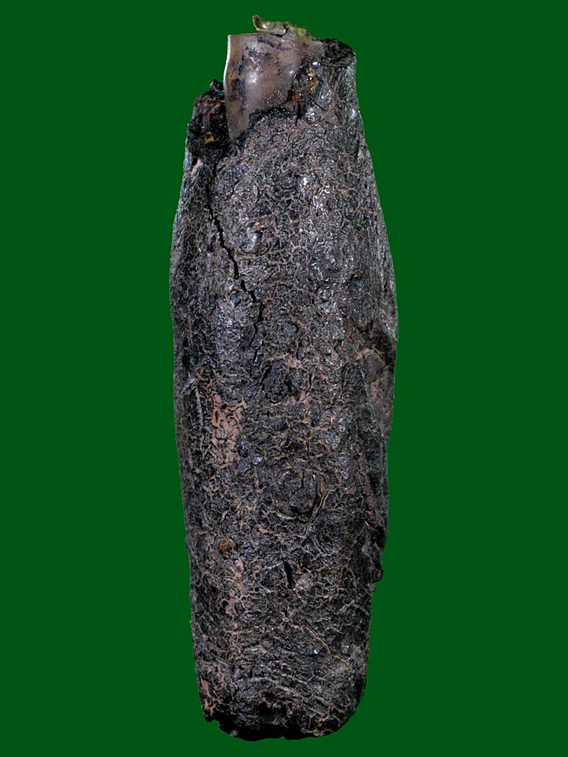 ตะกรุดโทนกาสะท้อน ครูบาอินตา วัดห้วยไซ