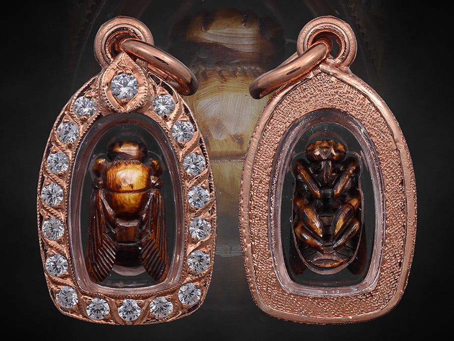 แมลงภู่คำไทยใหญ่ตัวจิ๋ว