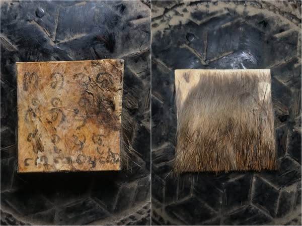 แผ่นยันต์หนังเสือครูบาวังวัดบ้านเด่น