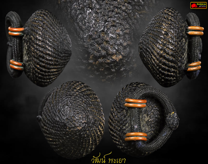 เบี้ยแก้หลวงปู่เจือ วัดกลางบางแก้ว