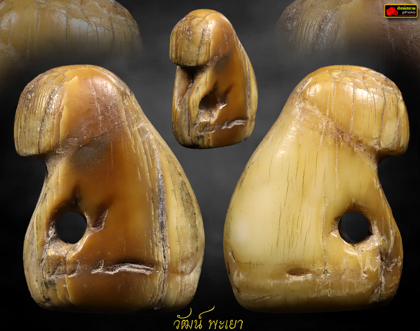 เสือหลวงพ่อปาน วัดคลองด่าน จ.สมุทรปราการ